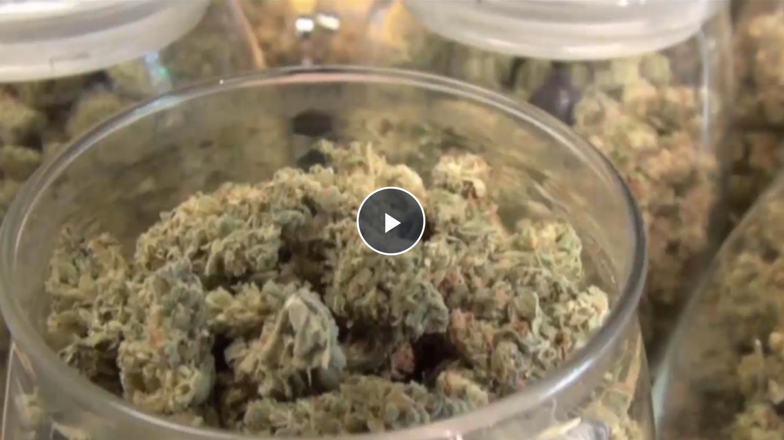 DEA Plans to Reclassify Marijuana