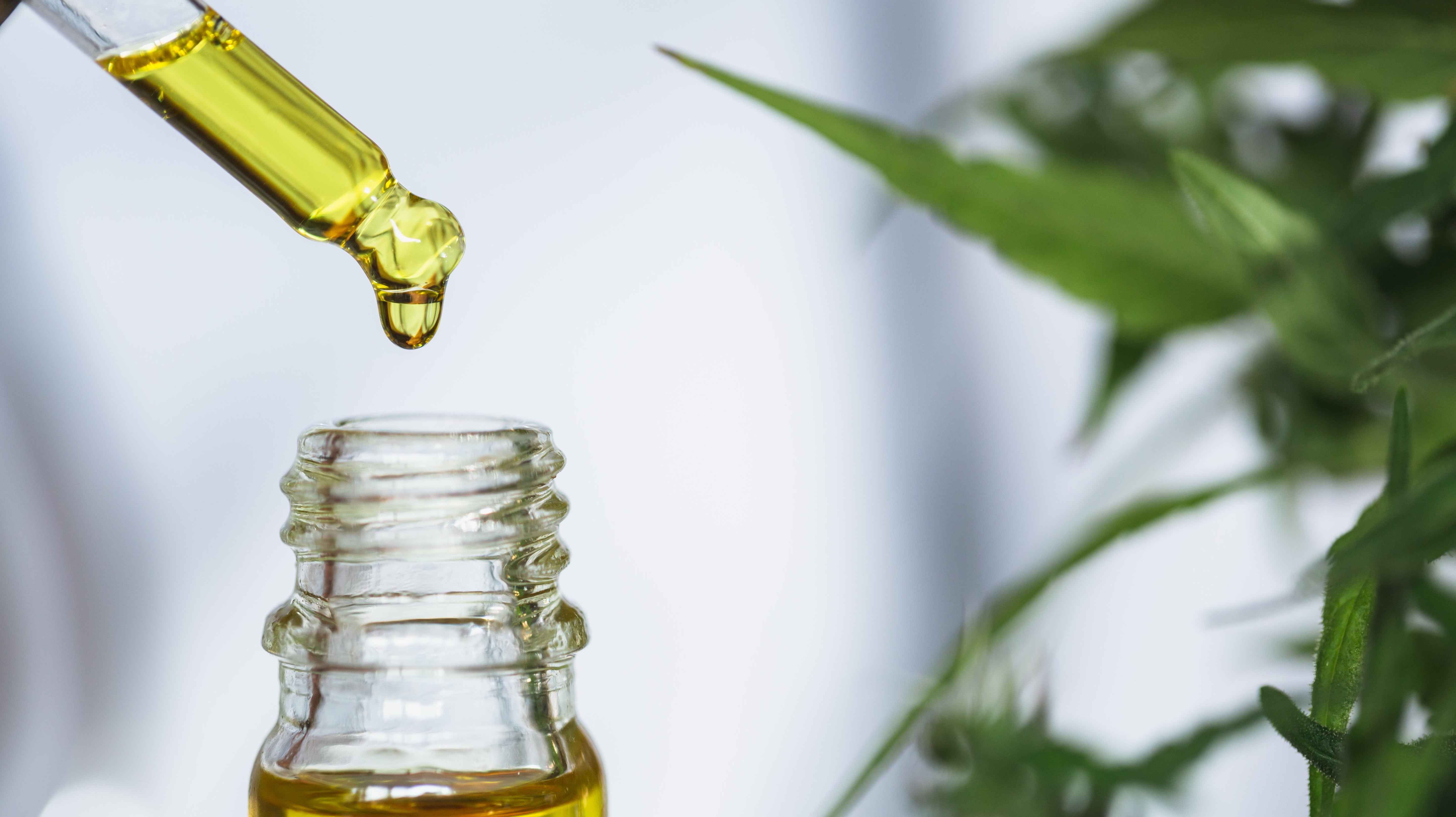 CBD Benefits: A Beginner’s Guide to CBD & Hemp Products