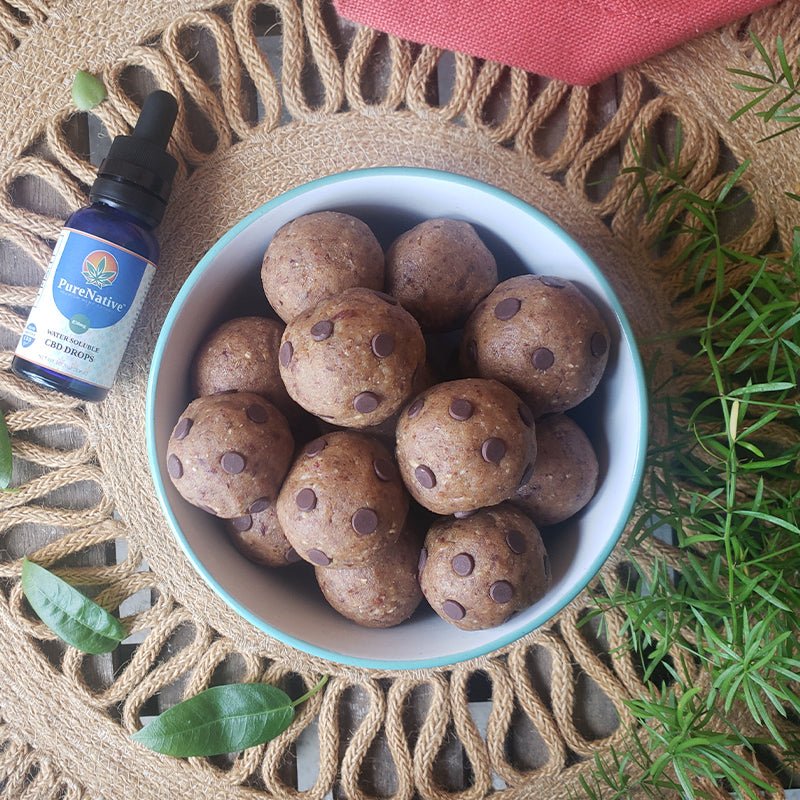 CBD Recipe: Pumpkin Pecan CBD Energy Bites - PureNative