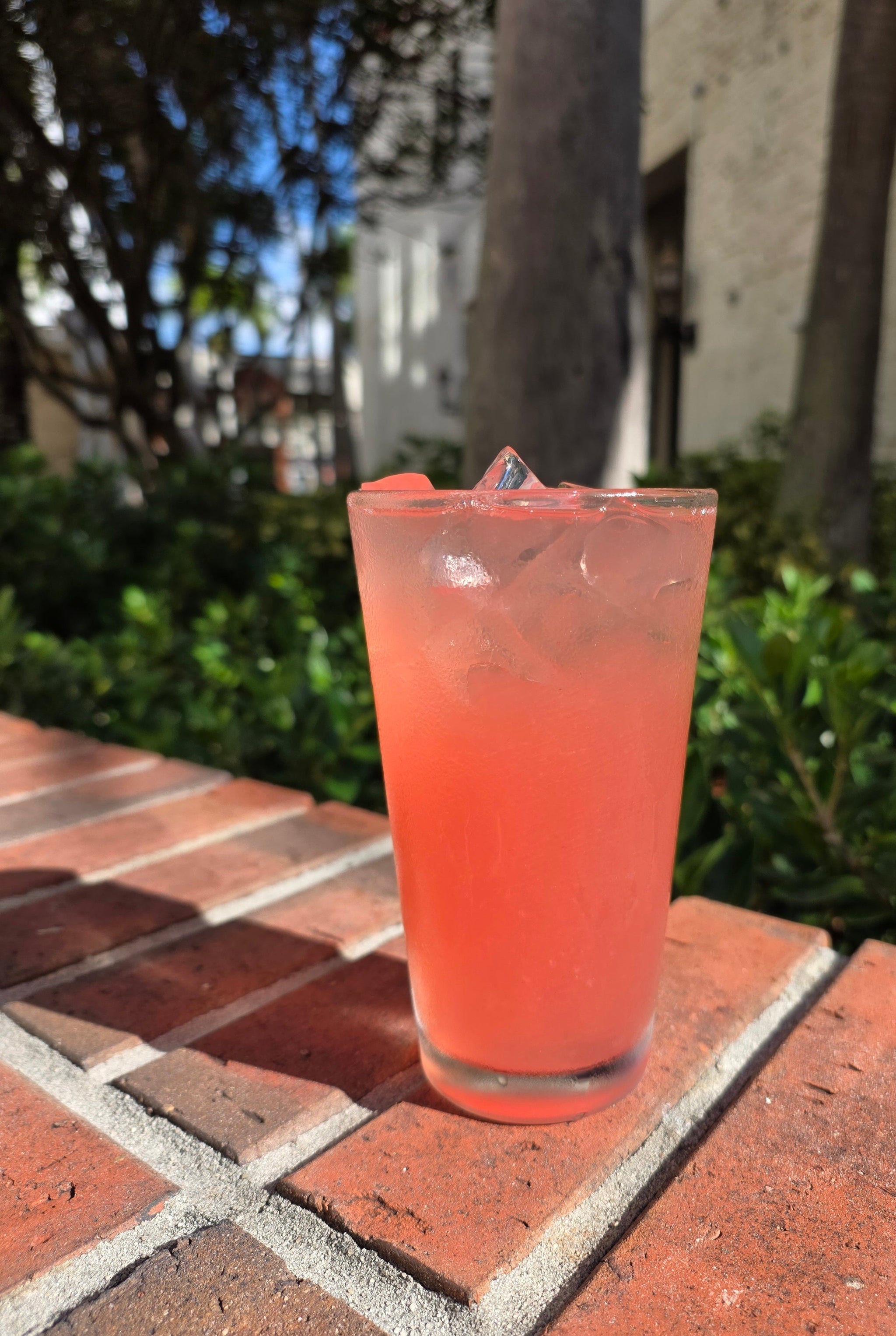 Watermelon CBD Lemonade: A Refreshing Sip of Spring