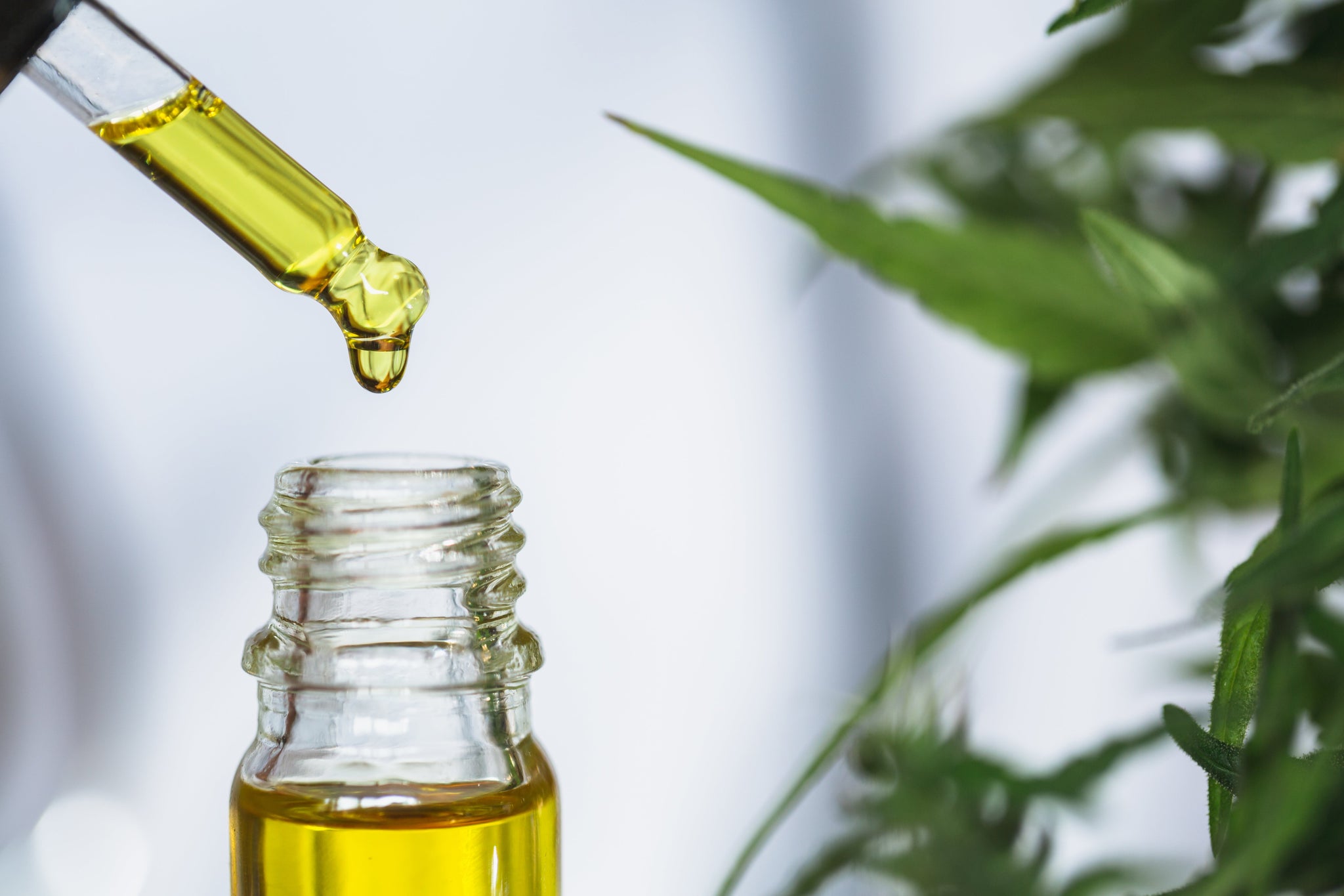 CBD Benefits: A Beginner’s Guide to CBD & Hemp Products