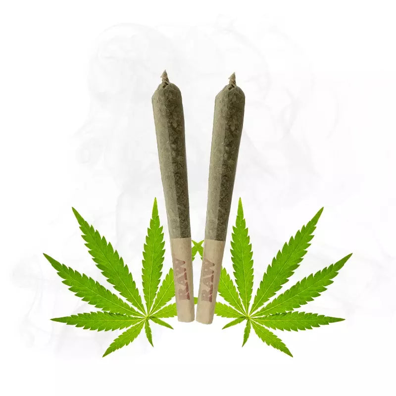 Sunset Pre-roll 2 pack