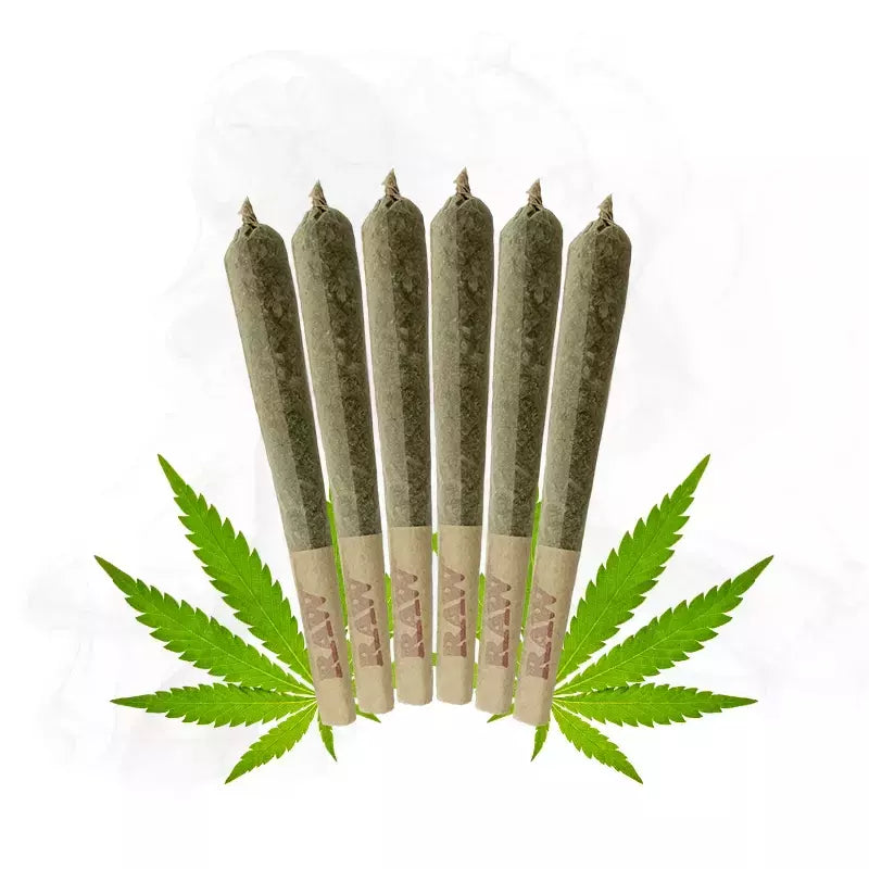 Sunset Pre-roll 6 pack